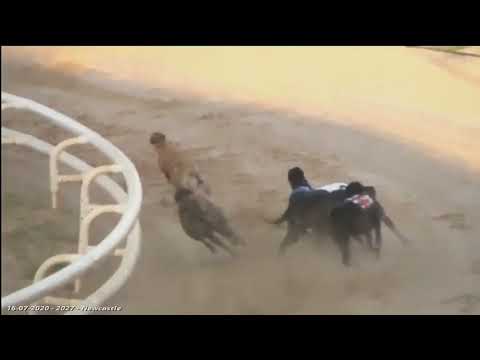 LEVANTE BEACH Trap 5 wins Heat ALL England Cup 16th July