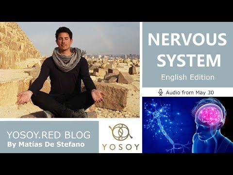 Day 300 - NERVOUS - Matías De Stefano - YOSOY.RED BLOG: Toroid - Physical-Taurus, Read by Carey 5/30