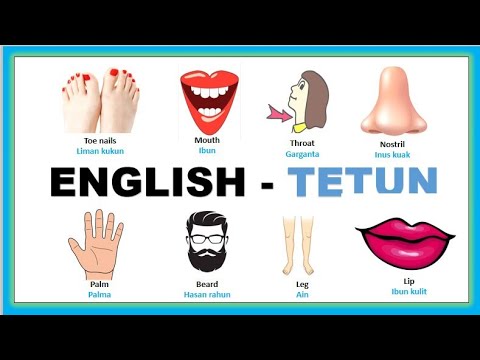 PART 1 | Human Body VOCABULARIES | English - Tetun