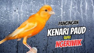Download lagu Pancingan Kenari Paud Agar Bunyi Cocok Untuk Masteran | Kenari Paud Belajar Bunyi mp3