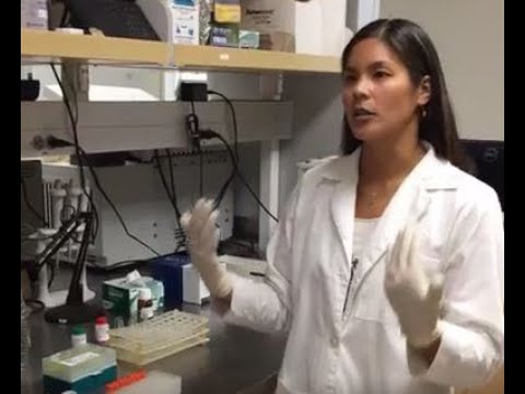 Sarah Chinn, Sonoma State University discusses sea otter end-lactation syndrome with us.