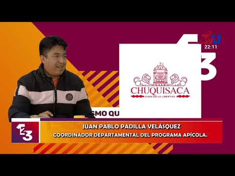 CHUQUISACA LIDERA LA PRODUCCIÓN DE MIEL EN BOLIVIA