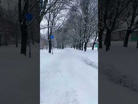 #sweden #uppsala #winter #snow #2023