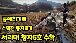 서리태 청자5호 콩수확 준비 콩자르기 공 예취기로 한서정공 BH-710A 2022년 11월 21일