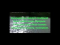 Уйларымда мэктэп еллары видео 