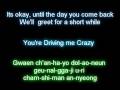 Untouchable - Driving me Crazy (Lyrics) 