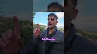 Why November is perfect for Portugal!