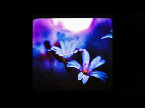 NEKFEU x BEKAR TYPE BEAT - "VEINES"