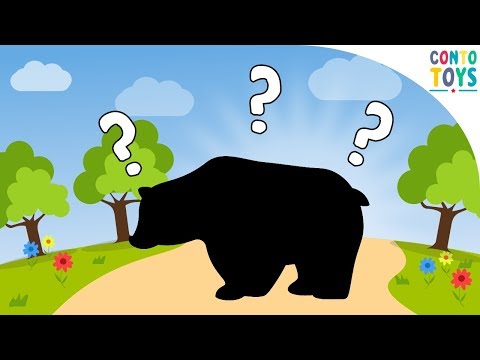 DESCUBRA O ANIMAL PELA SOMBRA // CONTOTOYS