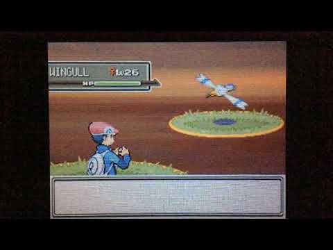 The best Chatot cry I've ever done.