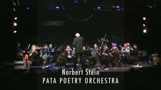 Norbert Stein PATA POETRY ORCHESTRA (short video version)
