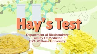 Hay’s Test | Detect Bile Salts in Urine