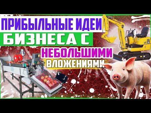 , title : 'Средний доход с идей 300 000 рублей в месяц ТОП-3 бизнес идеи с минимальными вкладами'