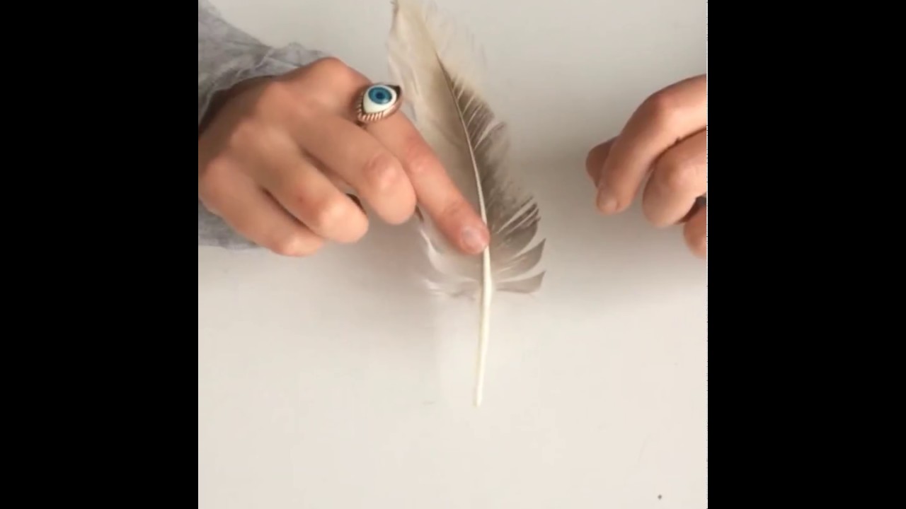 ¿Cómo fabricar una pluma de escribir con una pluma de pájaro