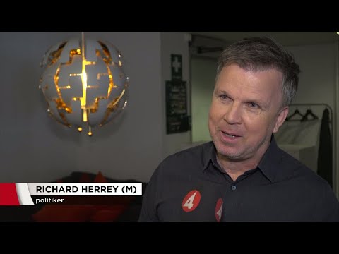 Richard Herrey ger sig in i politiken - Nyheterna (TV4)