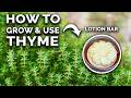 Thyme: How to Grow & Use This Amazing Herb (COMPLETE GUIDE)