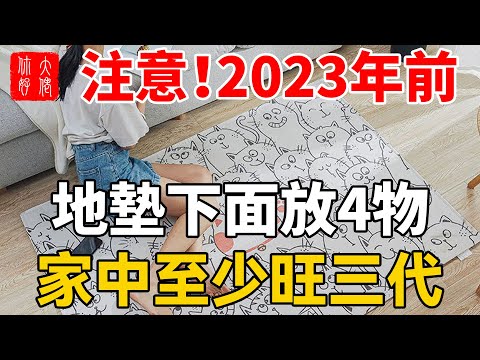 2023門口地墊放錢