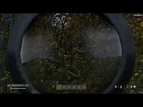 vlc record 2022 05 22 13h14m53s 2022 05 22 13 13 49 mkv