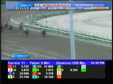 11 CARRERA DOM 02 SEPTIEMBRE LA RINCONADA AUDIOHIPISMO