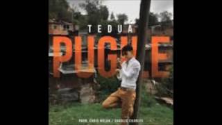 Tedua-Pugile (Prod.Chris Nolan,Charlie Charles)+Lyrics