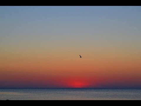 Piero Marras- Frores de mendula e.......