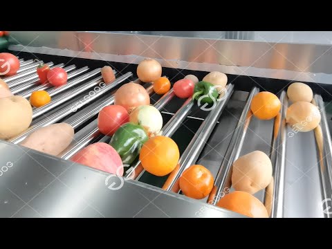 Fruit And Vegetable Sorting Grading Machine Commecial