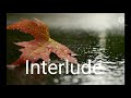 Andy Williams - Raindrops Keep Falling On My Head (Lyrics)
