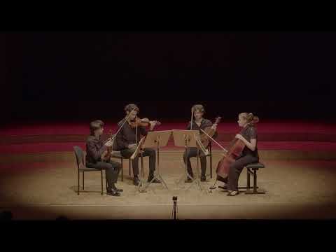 Raff String Quartet No. 7 in D major
