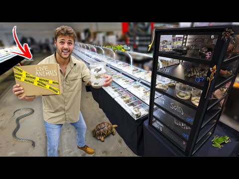 Buying ANIMALS at the LARGEST REPTILE EXPO!!
