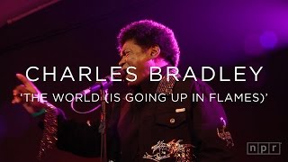 Charles Bradley: &#39;The World (Is Going Up In Flames)&#39; SXSW 2016 | NPR MUSIC FRONT ROW