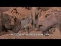 DINOSAUR 2000 Scene Across The Desert