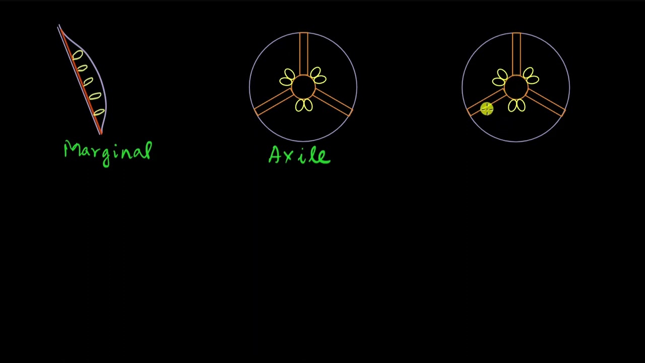 Placentation | Morphology of flowering plants | Biology | Khan Academy