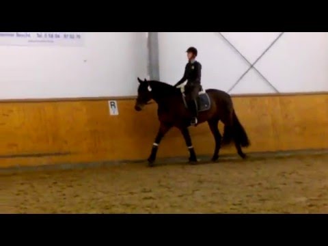 30 TT Schlieckau Fürst William