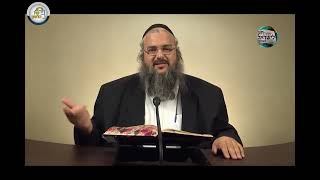 חוק לישראל - פרשת תולדות - יום רביעי | הרב שלמה לוינשטיין (ארגון קול הלשון) - התמונה מוצגת ישירות מתוך אתר האינטרנט יוטיוב. זכויות היוצרים בתמונה שייכות ליוצרה. קישור קרדיט למקור התוכן נמצא בתוך דף הסרטון