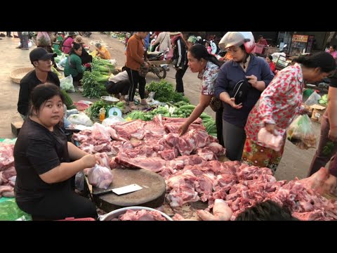 Wow ! Cambodian Wholesale Fish Market Scenes - Largest Fish Distribution Site in Siem Reap.