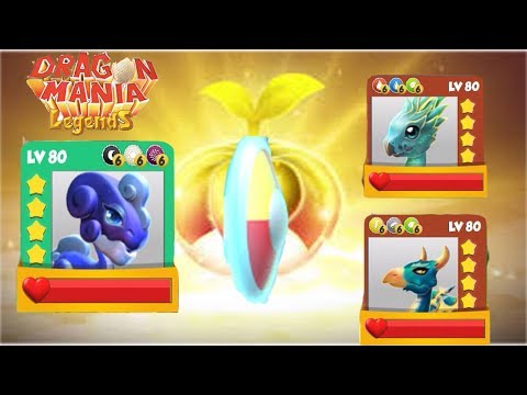 ENCHANT DRAGON BATTIE | HEROIC BATTLE  LV 80 VS 80 - Dragon Mania Legends | part 796 HD