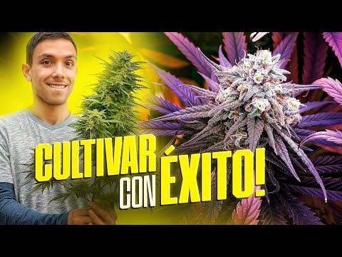 Mis 7 Claves para Cultivar en Interior y Exterior