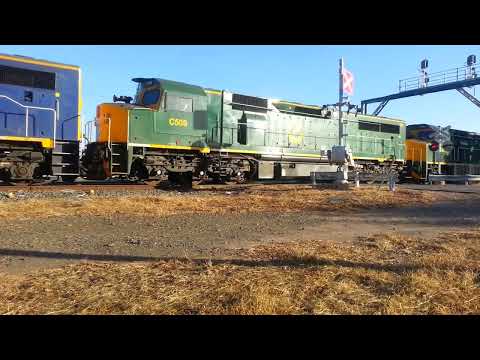 SSR LE Tranfer D626V C507-C509-C506-C505-RL302-RL307-RL305 The Rock (Flashback 2016)