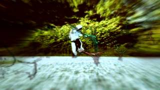 QUINTESSENCE &amp; FLUX | MystiK