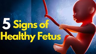 Signs Of Healthy Fetus In The Womb | Signs Of Healthy Baby In Pregnancy
