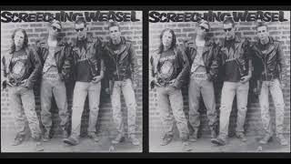 Screeching Weasel – I Don't Wanna Go Down To The Basement