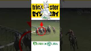 【目が覚める様な末脚】 #セイウンスカイ #札幌記念 #ウマ娘 #シンデレラグレイ #競馬