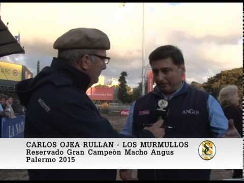 31-07-15 Carlos Ojea Rullan ( Reservado Gran Campeon Macho Angus ) - Palermo 2015.