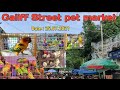 Sunday Market Updates Birds Collection 25 07 2021