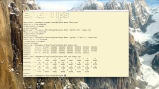 How to read a binary file using unix / linux command line
