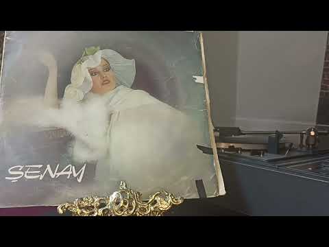 Şenay Sev Kardeşim Dönem Baskı Long Play