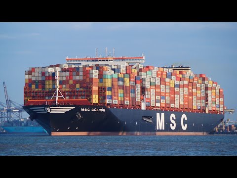 MSC GULSUN - New world's largest containership departing the port of felixstowe 7/9/19