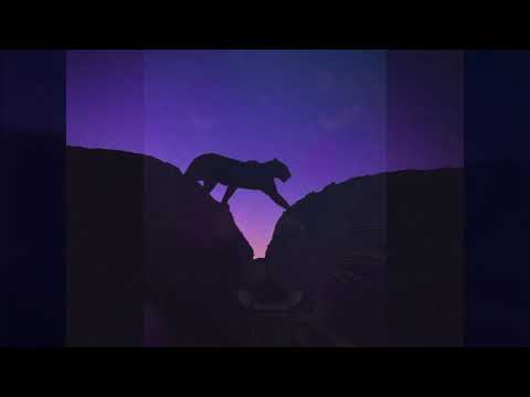 download lagu mp3 mp4 Yoga Tribute To Pantera, download mp3 Yoga Tribute To Pantera free downloadn, video klip Yoga Tribute To Pantera