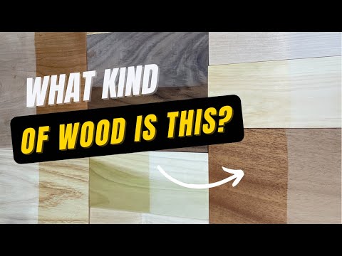 COMMON FURNITURE WOODS: Beginner's Guide for Furniture Flipping / Refinishing