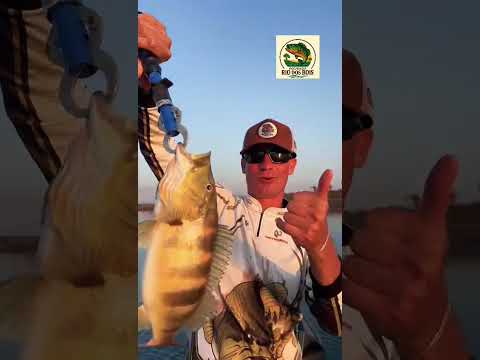 Pousada Rio dos Bois #mercury #megabass #bassboat #pescaesportiva #bassfishing #pousadas #tucunare